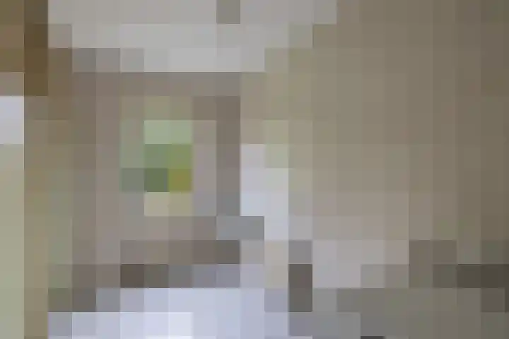 Wespendief 4 Tollebeek thumbnail 19