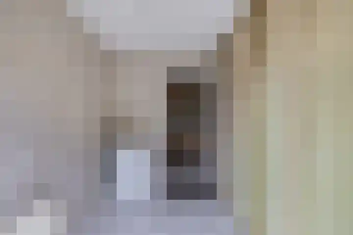 Wespendief 4 Tollebeek thumbnail 20