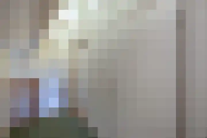 Wespendief 4 Tollebeek thumbnail 23