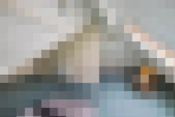 Wespendief 4 Tollebeek thumbnail 24