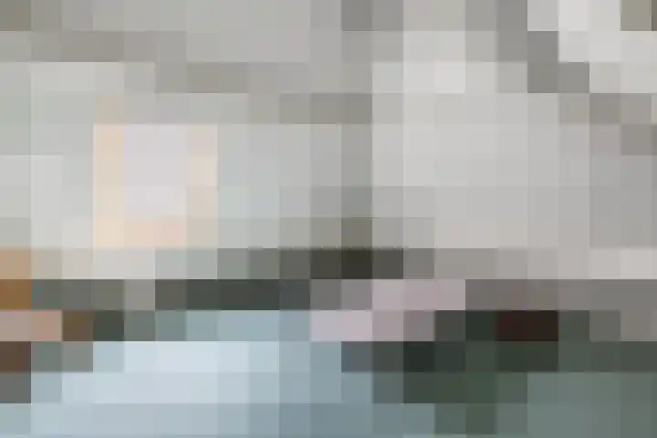 Wespendief 4 Tollebeek thumbnail 25