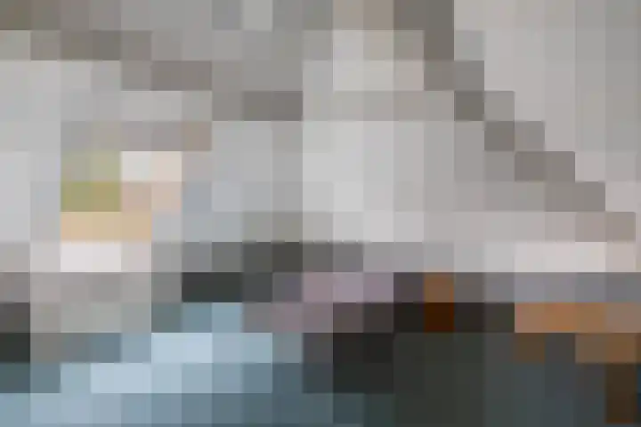 Wespendief 4 Tollebeek thumbnail 27