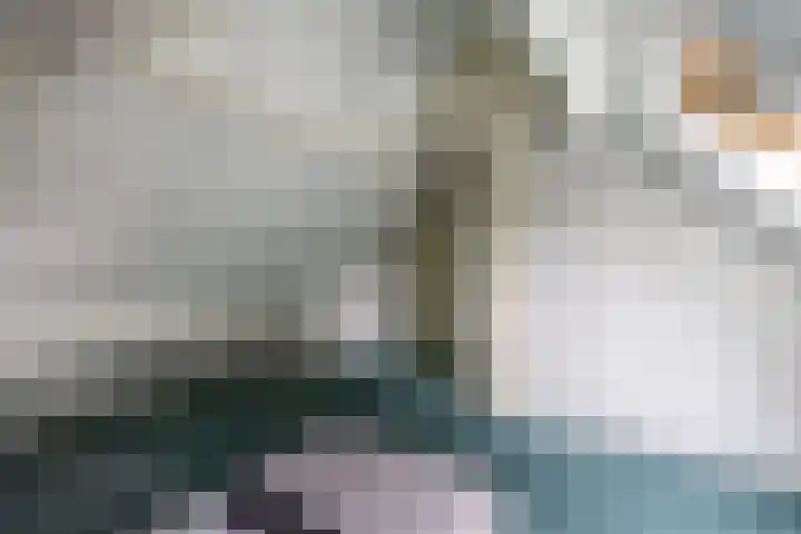 Wespendief 4 Tollebeek thumbnail 28
