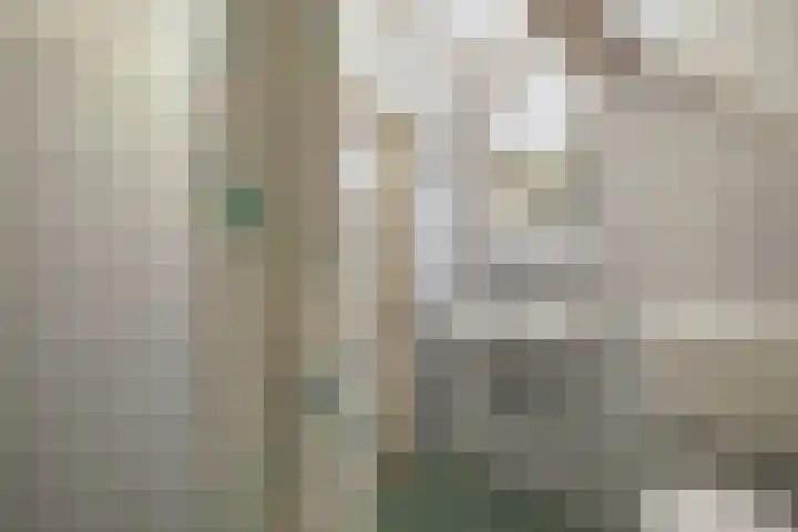 Wespendief 4 Tollebeek thumbnail 30