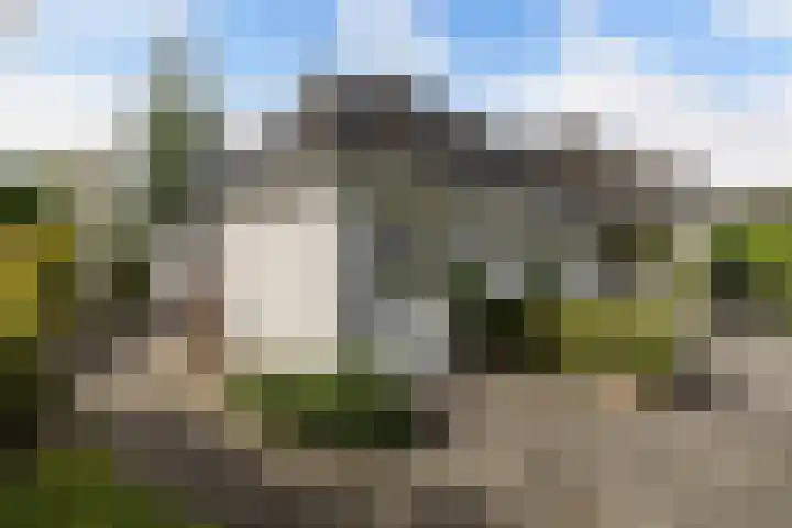 Wespendief 4 Tollebeek thumbnail 33