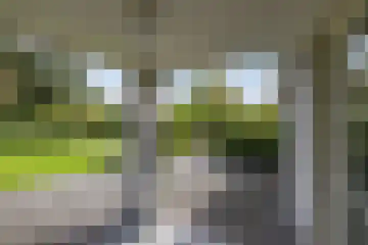 Wespendief 4 Tollebeek thumbnail 36
