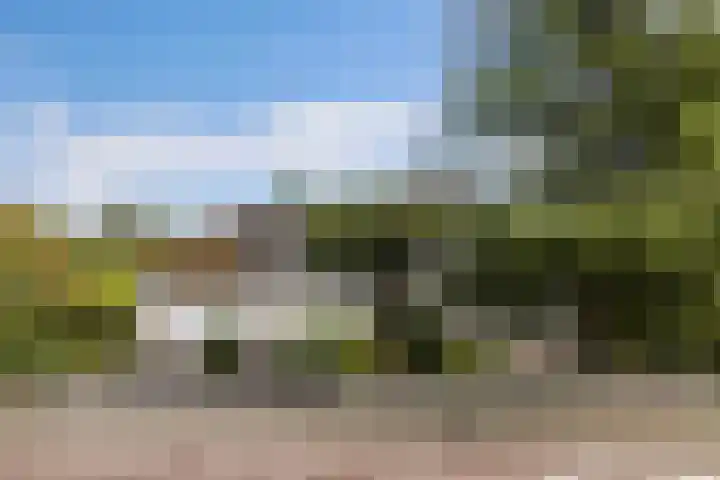 Wespendief 4 Tollebeek thumbnail 50