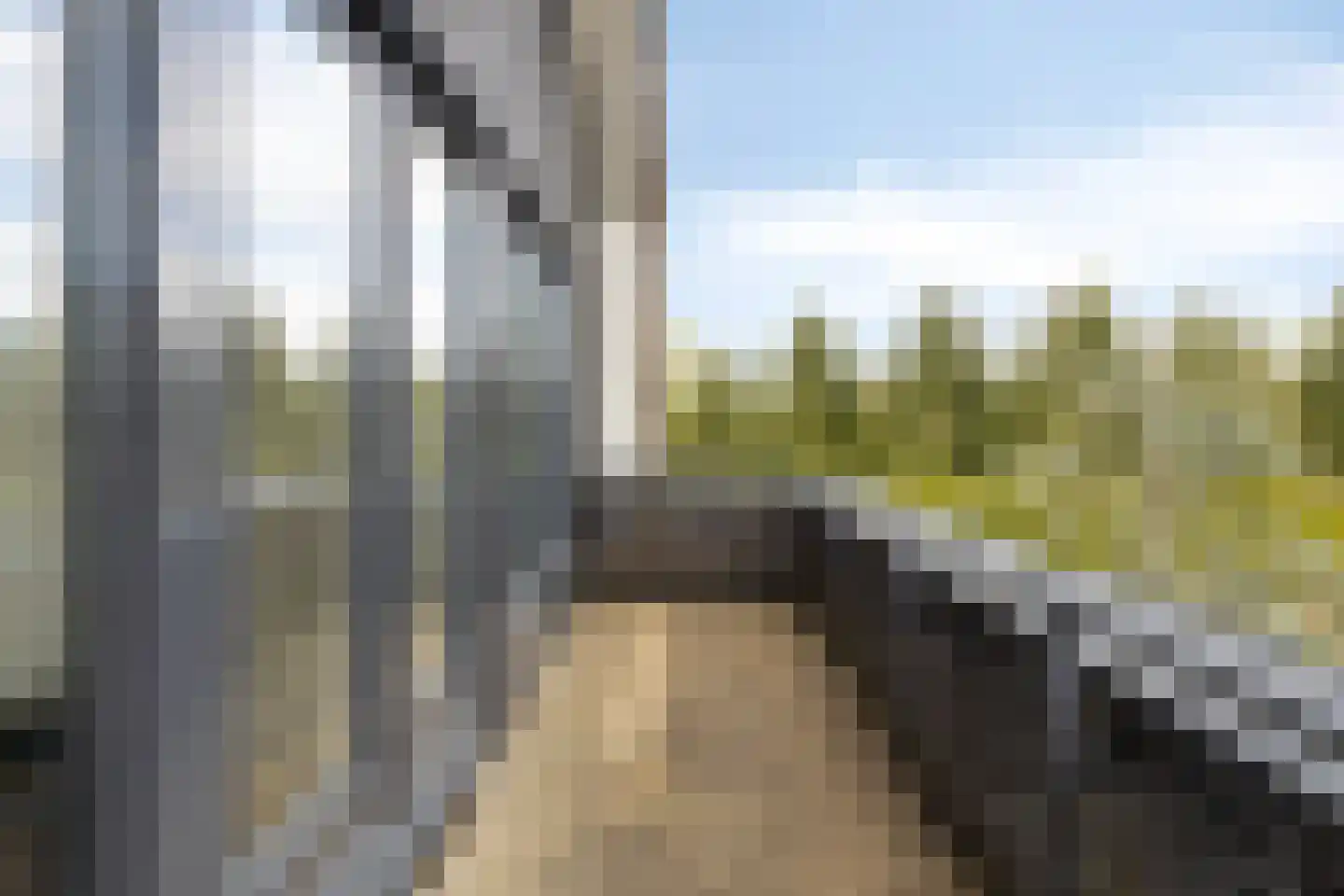 Wessel Couzijnhof 39 Arnhem thumbnail 31
