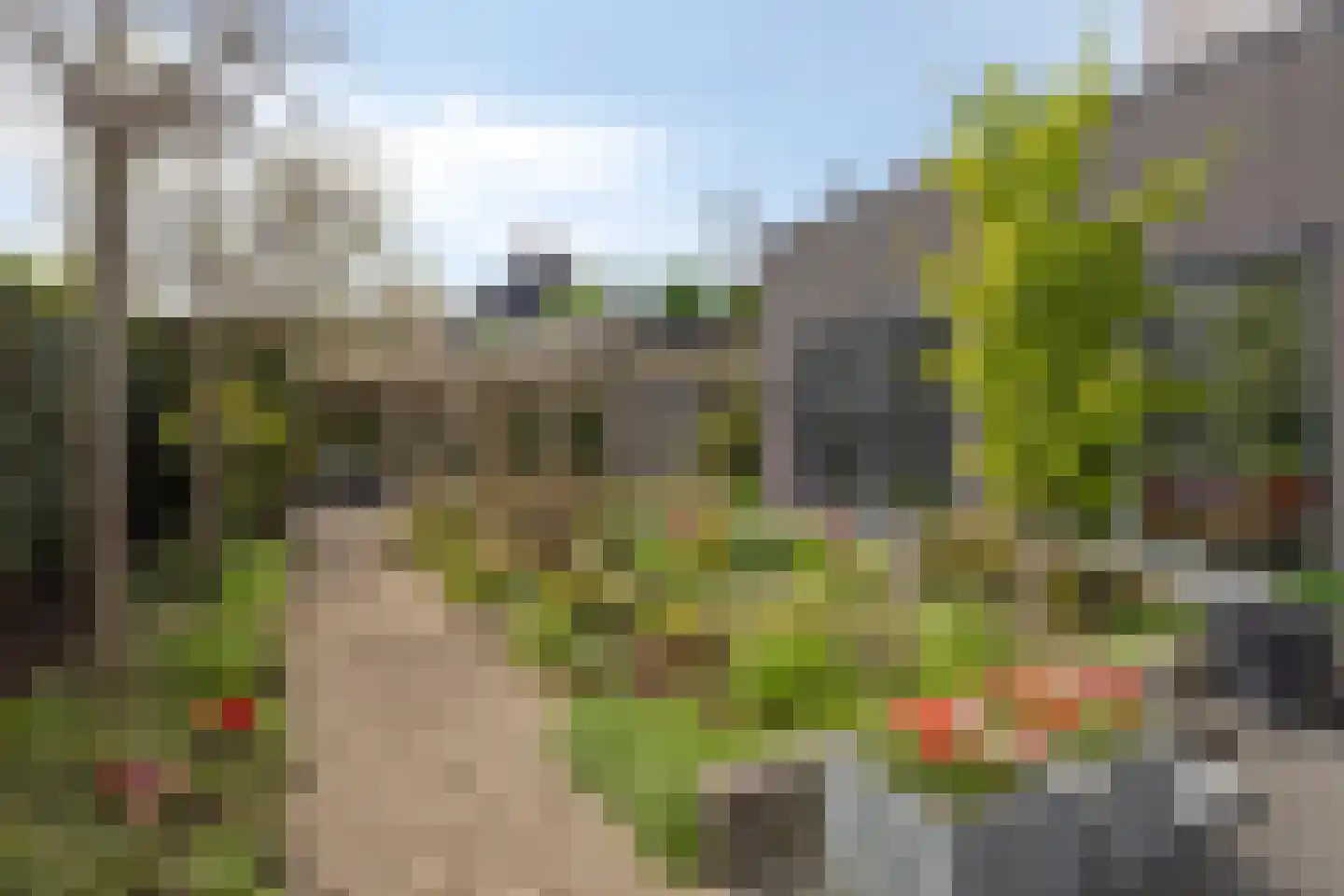Wessel Couzijnhof 39 Arnhem thumbnail 36