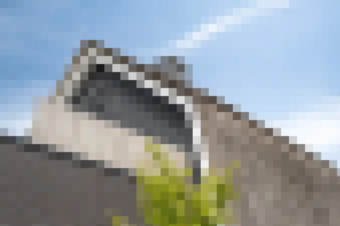 Wessel Couzijnhof 39 Arnhem thumbnail 39