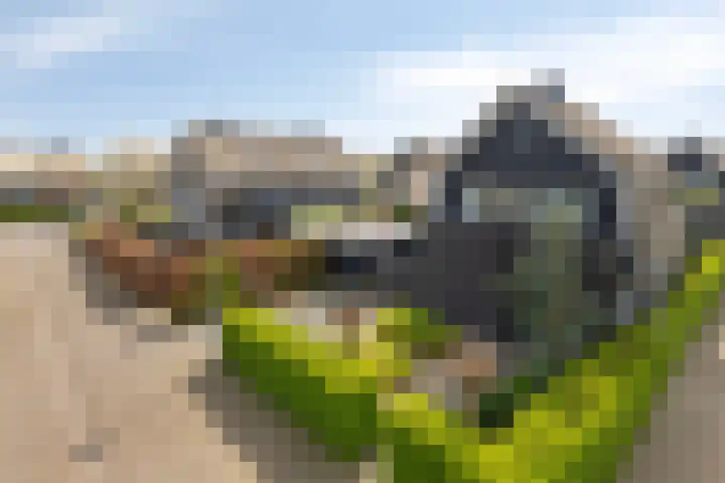Wessel Couzijnhof 39 Arnhem thumbnail 4