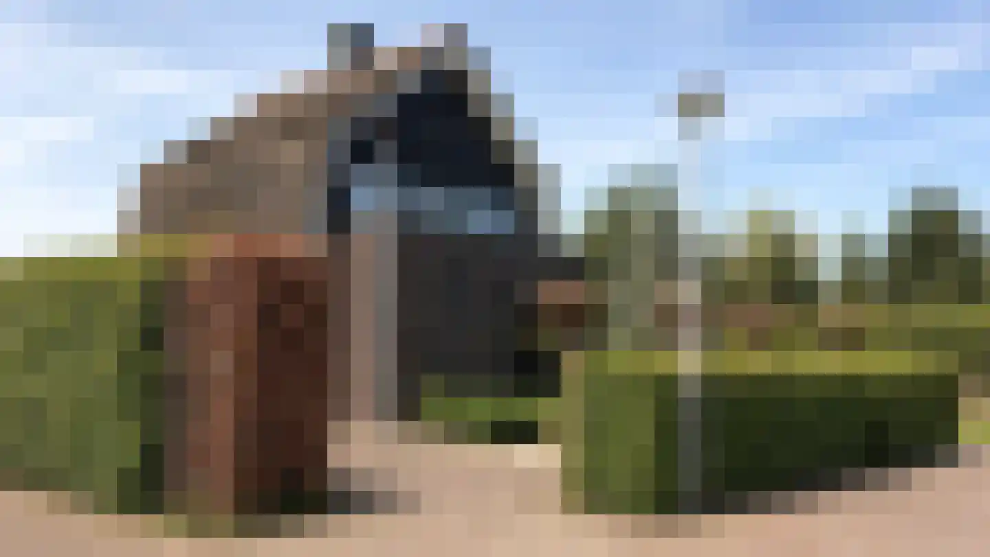 Wessel Couzijnhof 39 Arnhem thumbnail 5