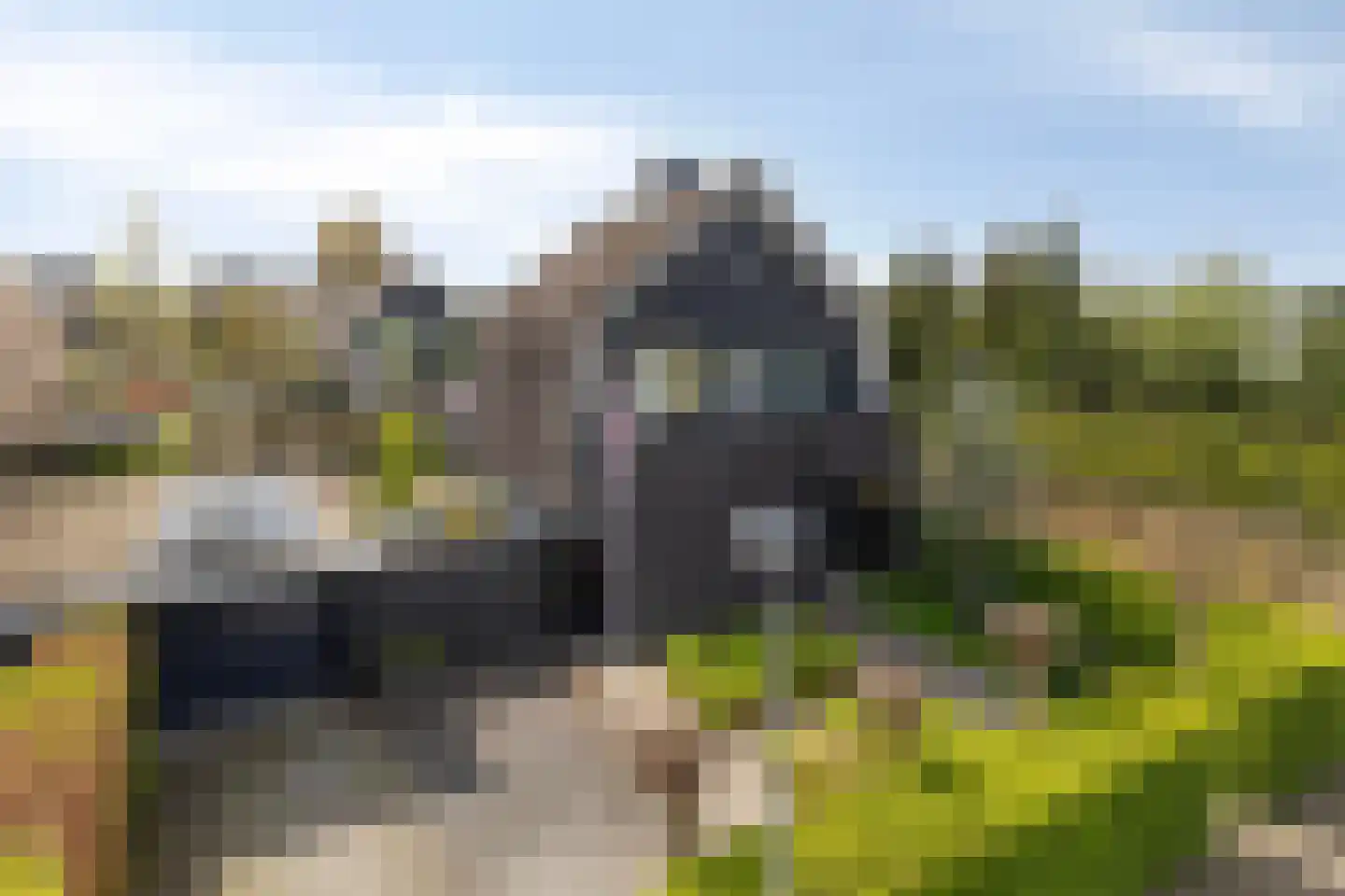 Wessel Couzijnhof 39 Arnhem thumbnail 6