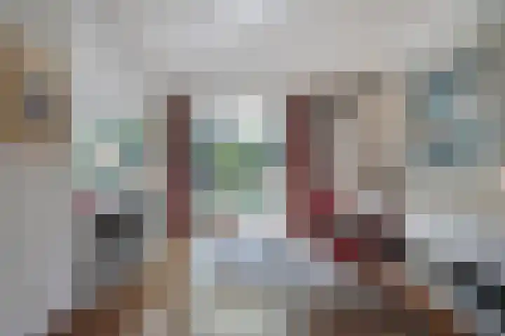 Wessel Gansfortlaan 2 Zwolle thumbnail 14