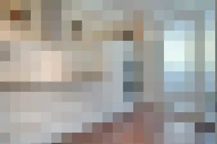 Wessel Gansfortlaan 2 Zwolle thumbnail 17