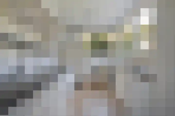 Wessel Gansfortlaan 2 Zwolle thumbnail 19