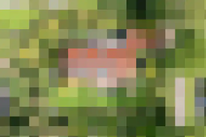 Wessel Gansfortlaan 2 Zwolle foto 3