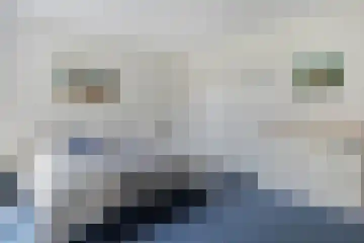 Wessel Gansfortlaan 2 Zwolle thumbnail 31