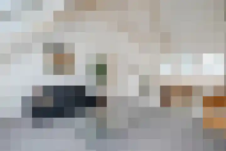 Wessel Gansfortlaan 2 Zwolle thumbnail 34