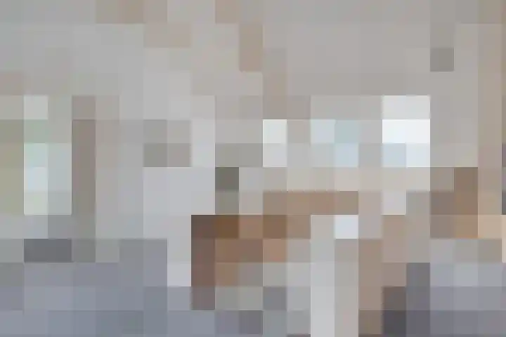 Wessel Gansfortlaan 2 Zwolle thumbnail 35