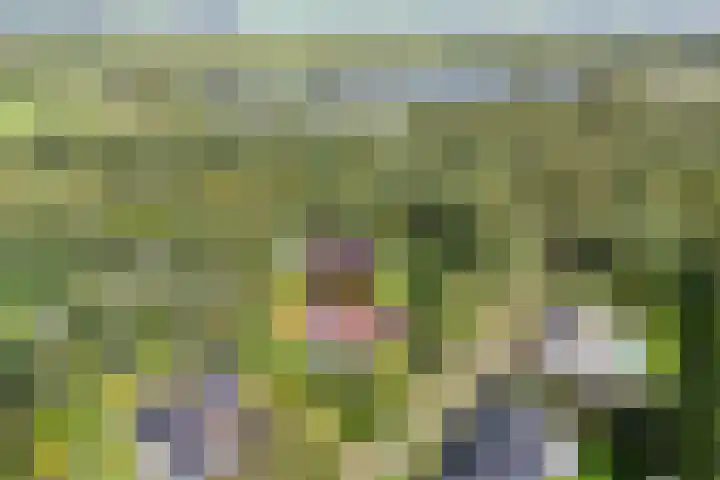 Wessel Gansfortlaan 2 Zwolle thumbnail 4