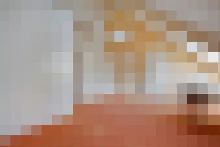 Wessel Gansfortlaan 2 Zwolle thumbnail 41