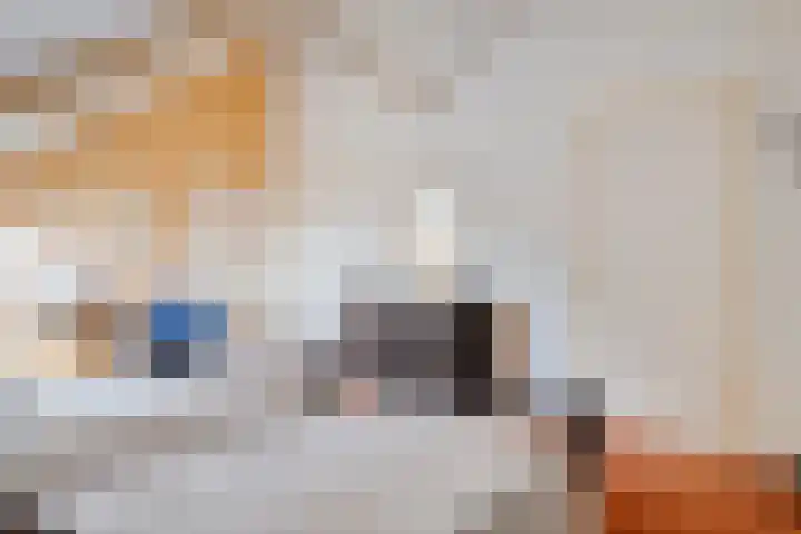 Wessel Gansfortlaan 2 Zwolle thumbnail 43