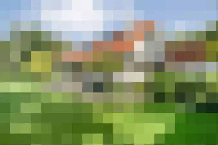 Wessel Gansfortlaan 2 Zwolle thumbnail 46
