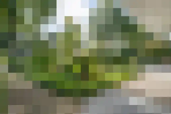 Wessel Gansfortlaan 2 Zwolle thumbnail 5