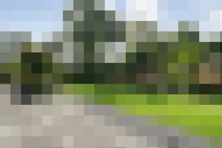 Wessel Gansfortlaan 2 Zwolle thumbnail 50
