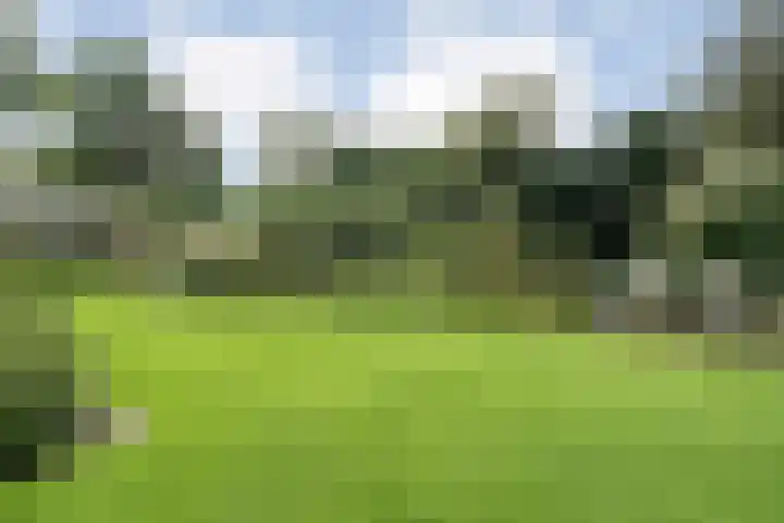 Wessel Gansfortlaan 2 Zwolle thumbnail 51
