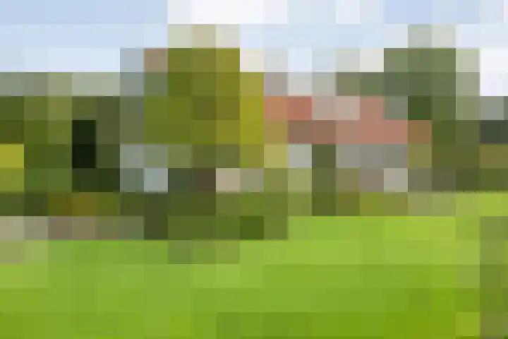 Wessel Gansfortlaan 2 Zwolle thumbnail 52