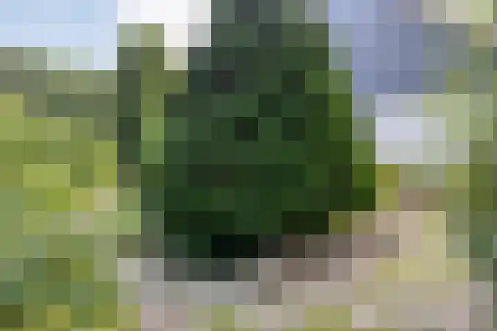 Wessel Gansfortlaan 2 Zwolle thumbnail 53