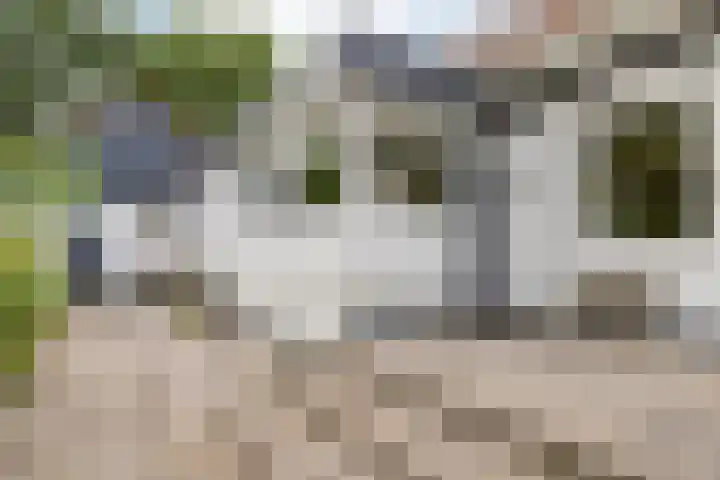 Wessel Gansfortlaan 2 Zwolle thumbnail 55