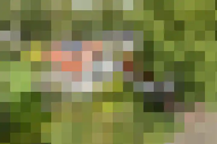 Wessel Gansfortlaan 2 Zwolle thumbnail 56