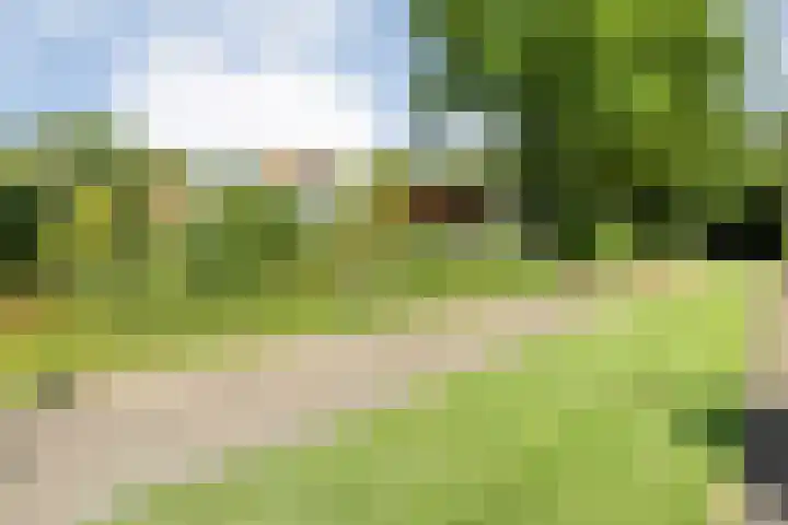 Wessel Gansfortlaan 2 Zwolle thumbnail 59