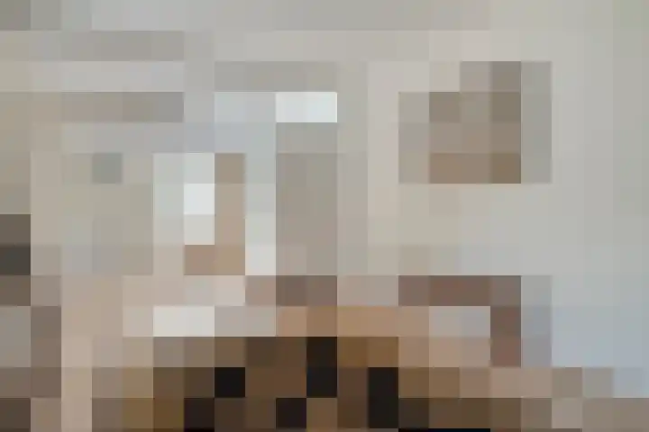Wessel Gansfortlaan 2 Zwolle thumbnail 7