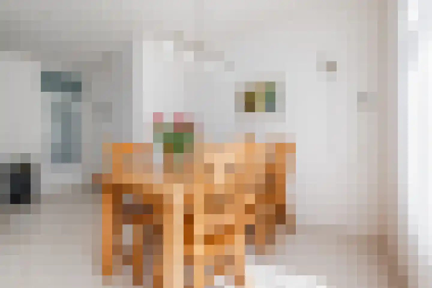 Wessel Gansfortstraat 40 Aduard thumbnail 14