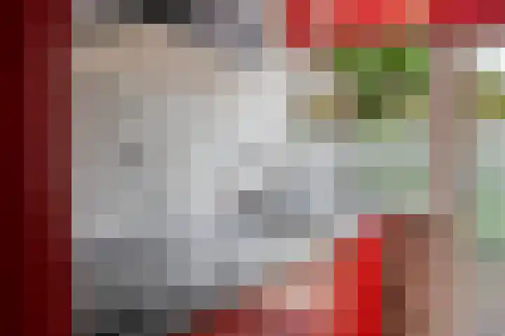Wessel Gansfortstraat 46 Amsterdam thumbnail 15