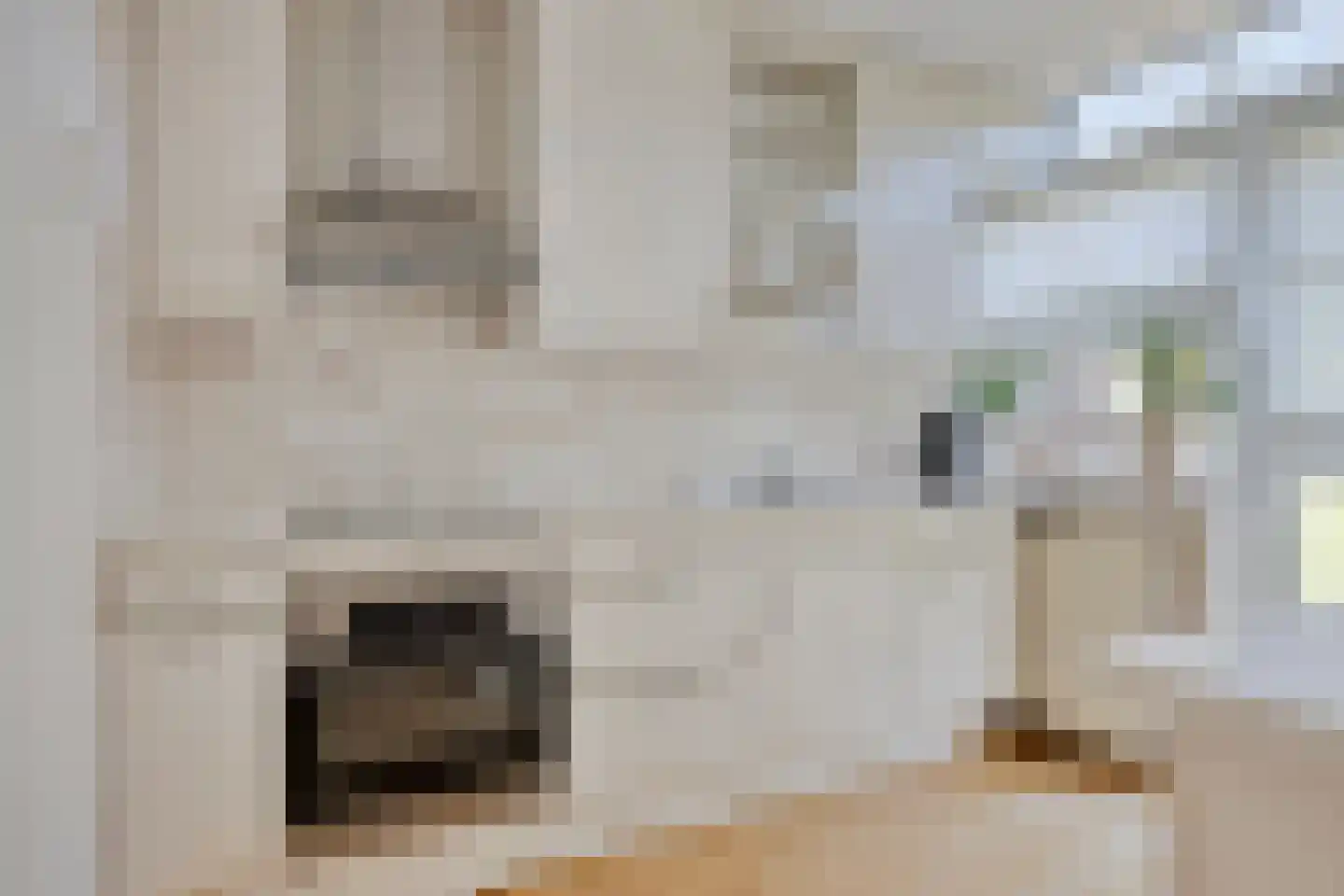 Wessel Gansfortstraat 54 Amsterdam thumbnail 12
