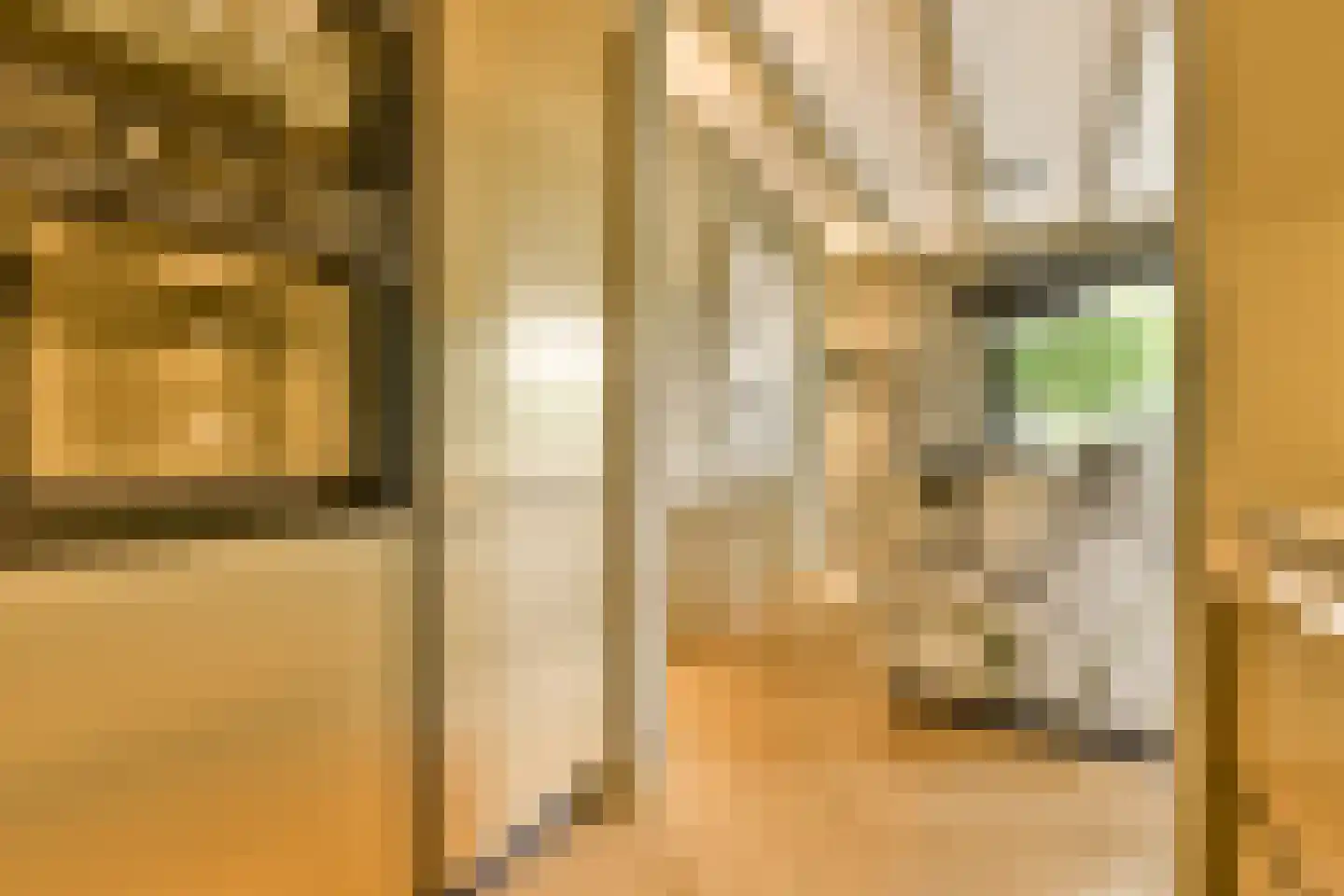 Wessel Gansfortstraat 56 Amsterdam thumbnail 10