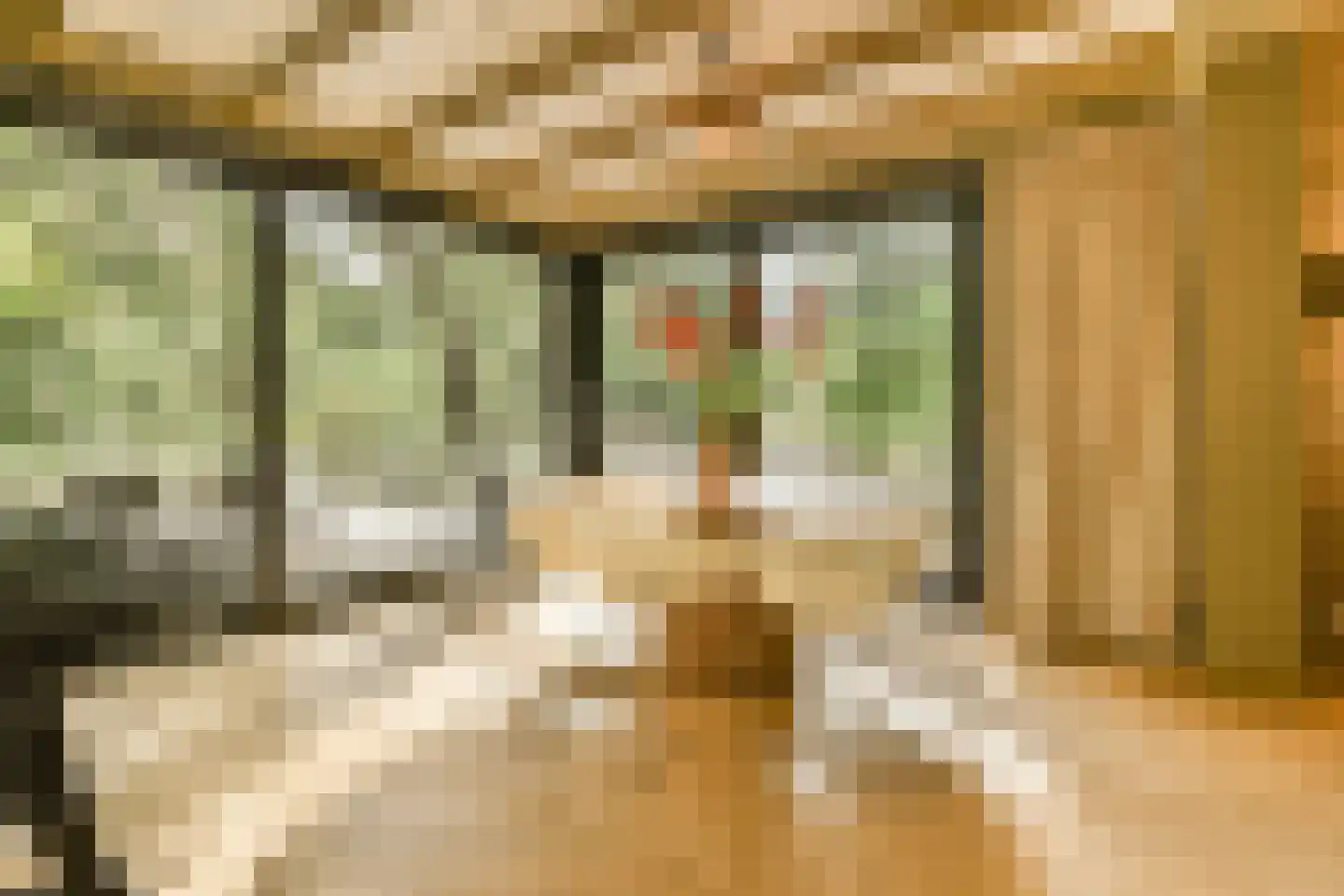 Wessel Gansfortstraat 56 Amsterdam thumbnail 13