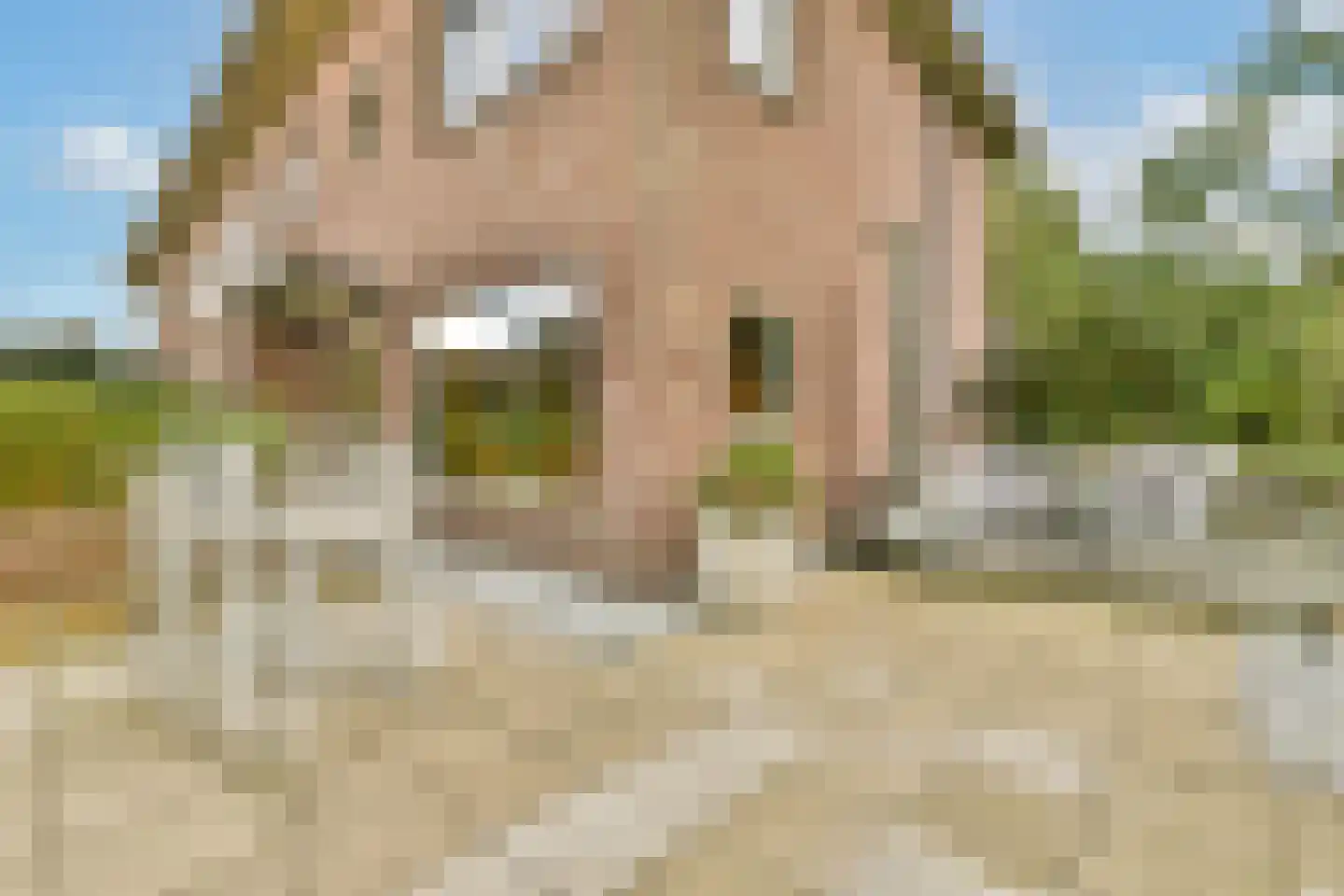 Wessel Gansfortstraat 56 Amsterdam thumbnail 17