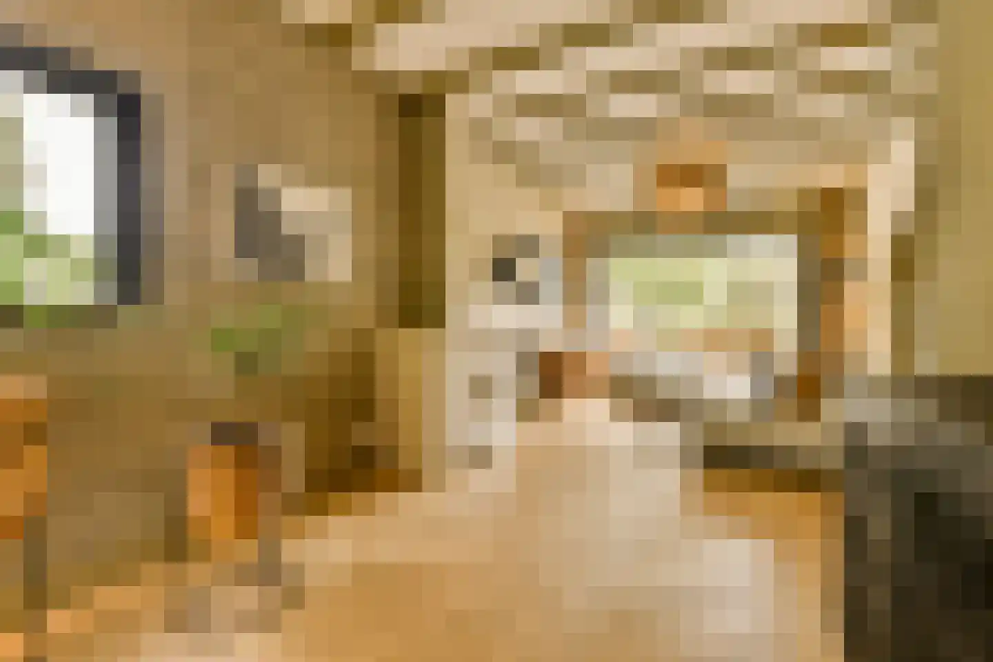 Wessel Gansfortstraat 56 Amsterdam thumbnail 18