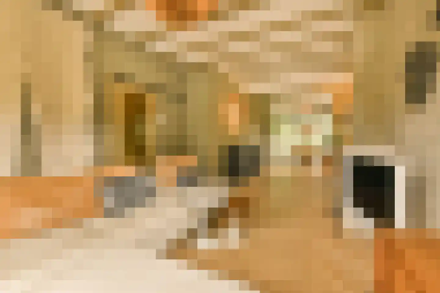 Wessel Gansfortstraat 56 Amsterdam thumbnail 20