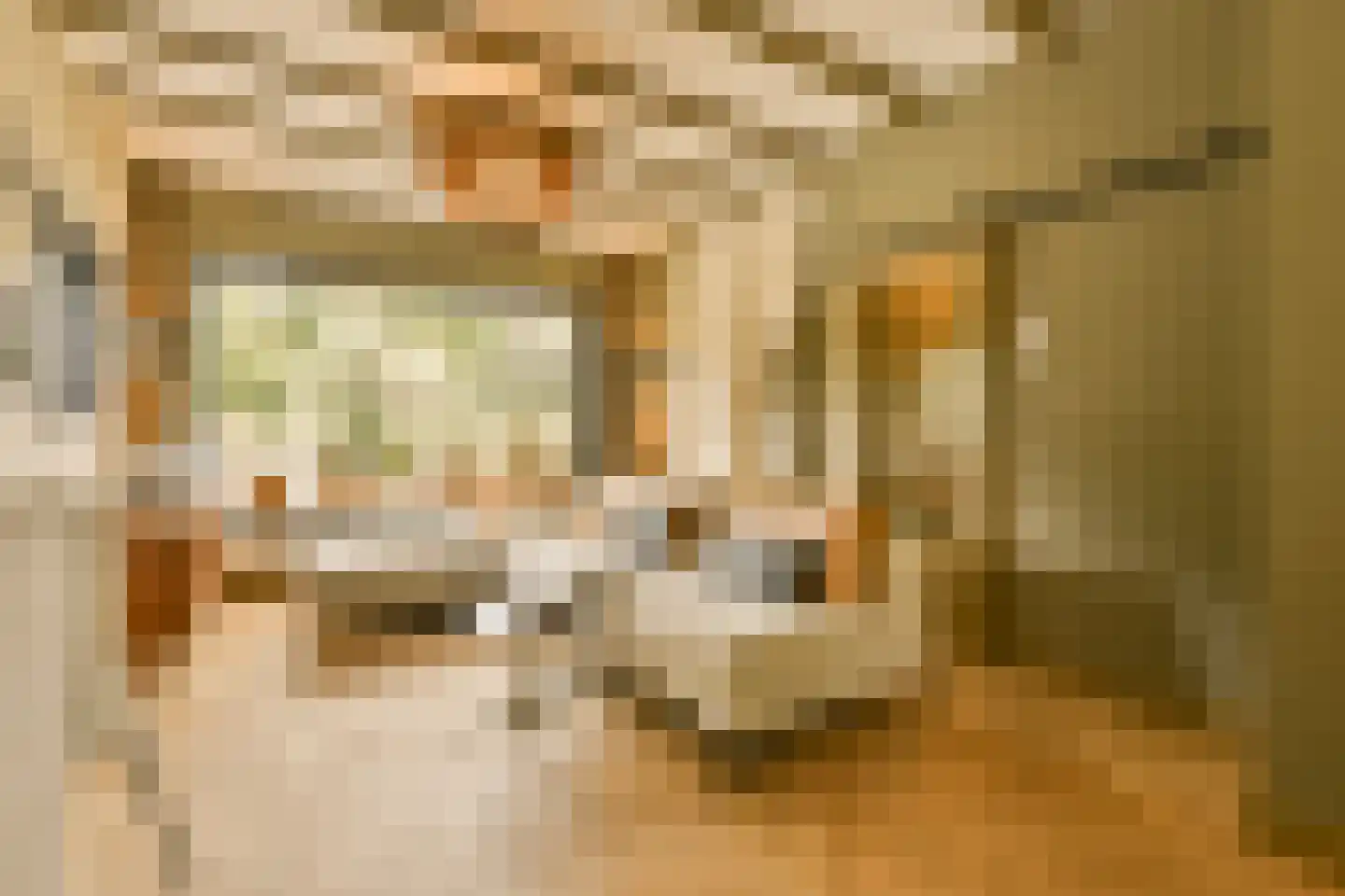 Wessel Gansfortstraat 56 Amsterdam thumbnail 21