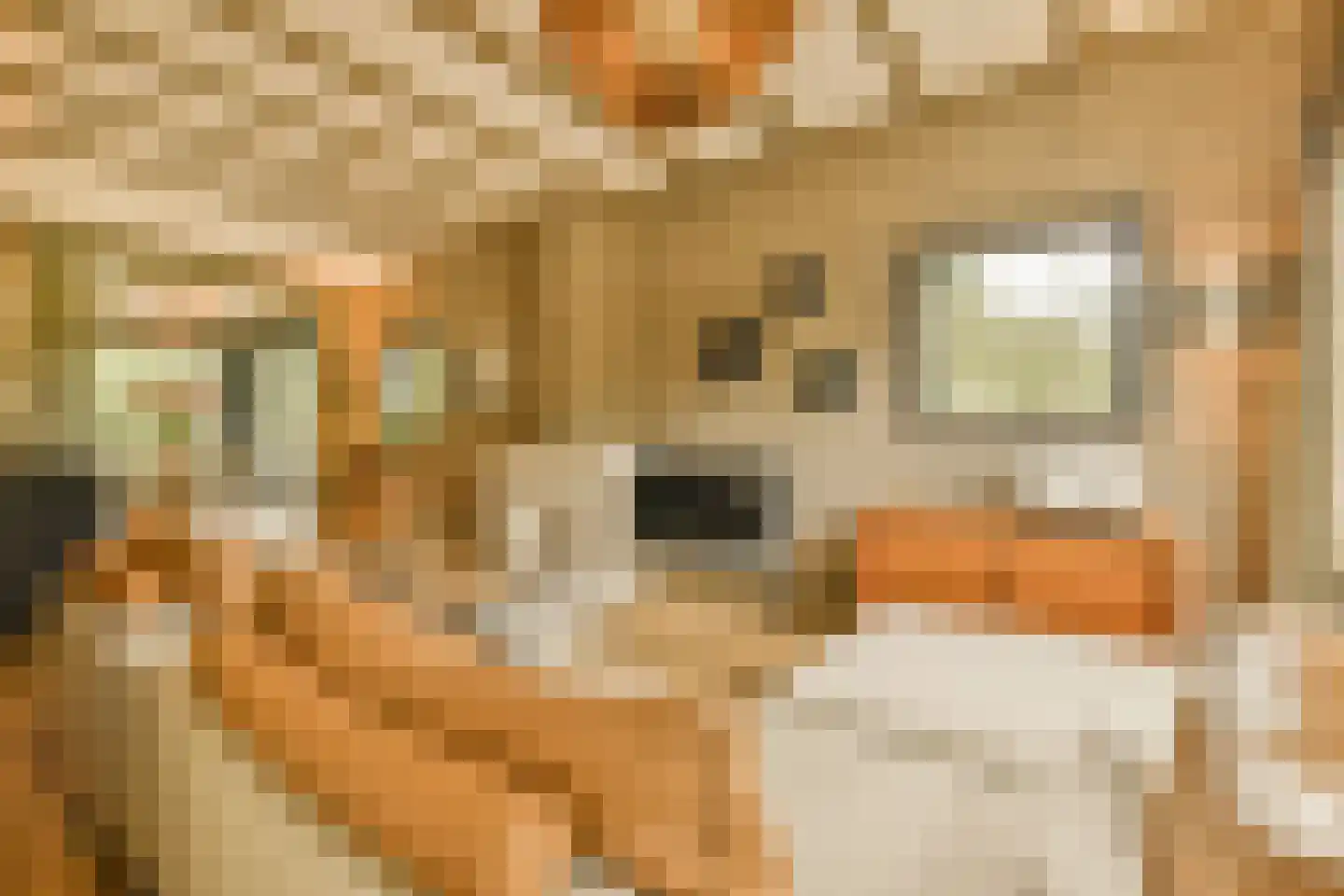Wessel Gansfortstraat 56 Amsterdam thumbnail 22
