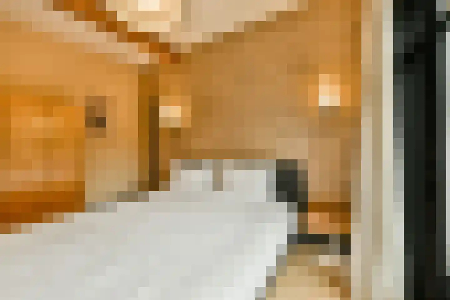 Wessel Gansfortstraat 56 Amsterdam thumbnail 26