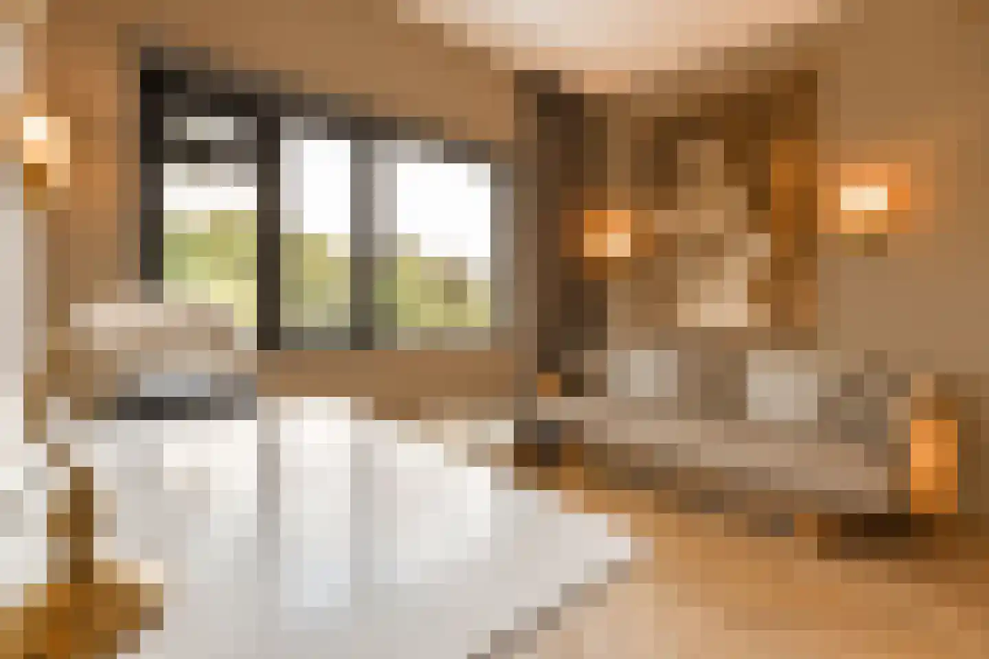 Wessel Gansfortstraat 56 Amsterdam thumbnail 28
