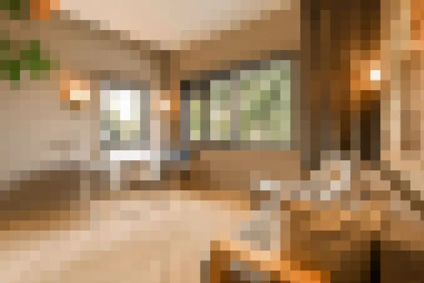 Wessel Gansfortstraat 56 Amsterdam thumbnail 29